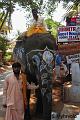 Goa41-Tempel elefant Goa